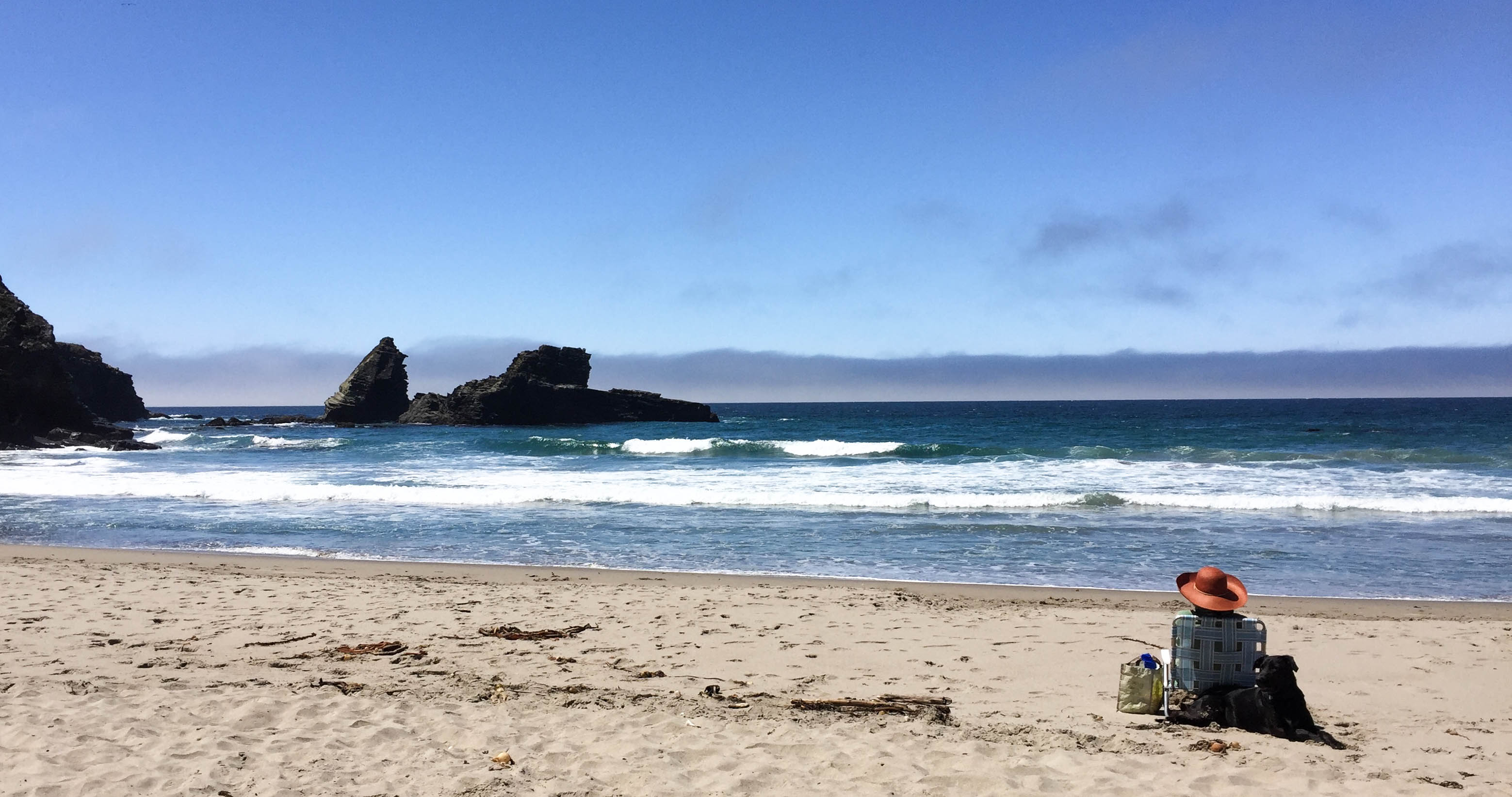Cooks Beach - Read a book